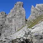 Panice Limone Piemonte