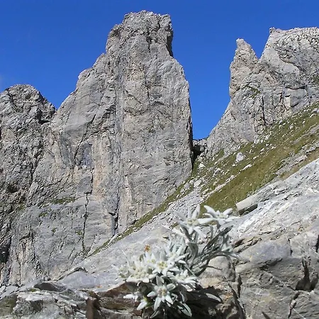 Panice Limone Piemonte