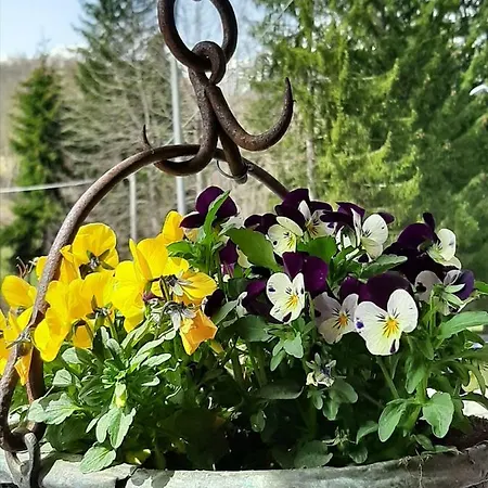 Panice Otel Limone Piemonte